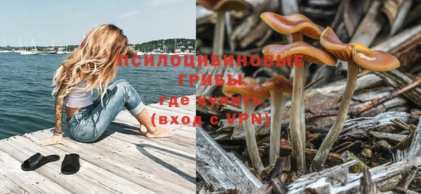 мяу мяу кристалл Армянск