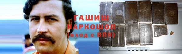 ECSTASY Ельня