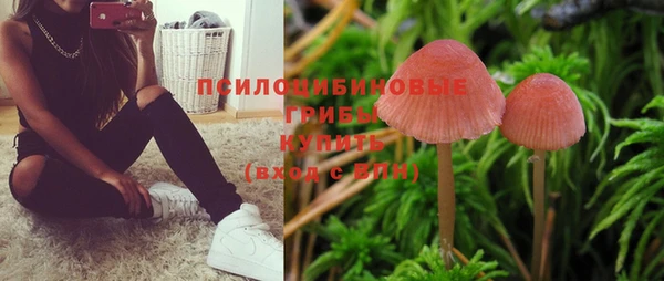 a pvp Алексин