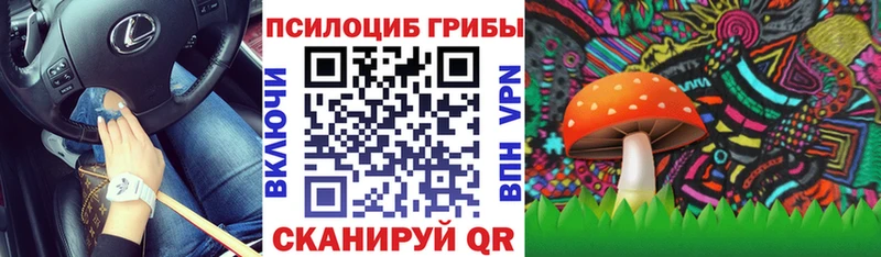 Псилоцибиновые грибы Psilocybine cubensis Волгодонск