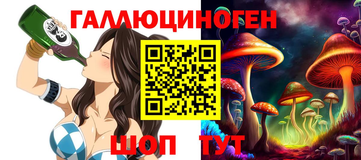 Псилоцибиновые грибы Cubensis  Вход с VPN  Псилоцибиновые грибы прущие грибы  Волгодонск 