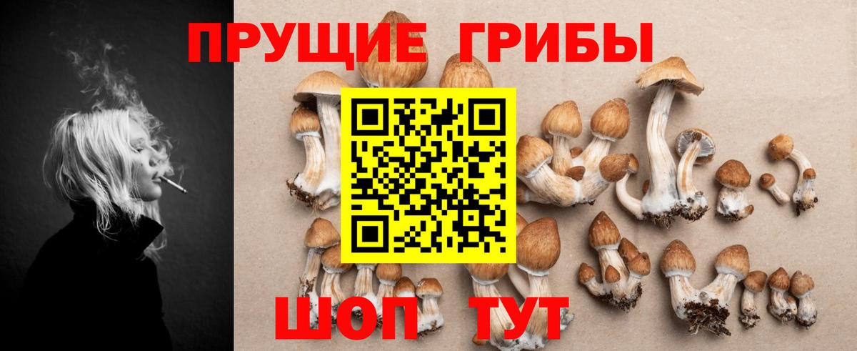 Галлюциногенные грибы Psilocybine cubensis Волгодонск