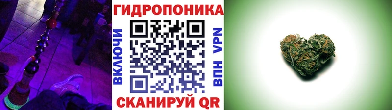 Шишки марихуана конопля  Волгодонск 